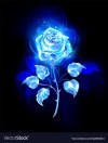 1CA51C22-0BC3-4455-8FBF-A0D09AA654C7.jpeg