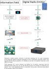 Diagram information field FM radio.jpg