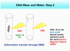 science-14.jpg
