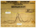 1918 influenza.jpg