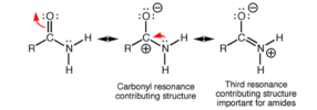 amide-carbonyl-resonance.png