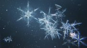 snowflakes-public-domain-marc-newberry.jpg