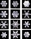 types-of-snowflakes.jpg