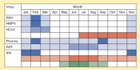 Schematic-overview-of-respiratory-virus-seasonality-Intensity-of-color-represents-number.png