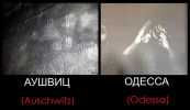 Auschwitz-Odessa.png