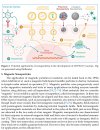 magnetic-nano-particles-2.jpeg