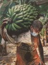 Foto -princess- Rincón - saving the banana harvest.jpg