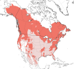 646px-Ursus_americanus_IUCN_range_map_extant_and_extirpated.png