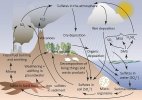 800px-Schematic-figure-of-the-sulfur-cycle.jpg