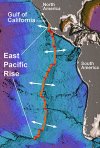 epac-rise-400.jpg