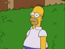 Homer.gif