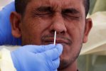 nose-swab-1024x691.jpg