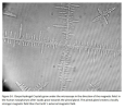 hydrogelantennacrystals3.png