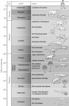 geologic time scale bw.jpg