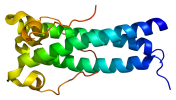 Protein_HERV-FRD_PDB_ syncytin2.png