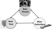 correlation mass extinction erv speciation2.jpg