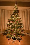 Christmas Tree 2- 2021- Web.jpg