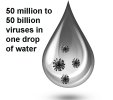 drop water virus.jpg