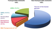 Proportion-of-transposable-elements-in-the-human-genome-Lines-and-Sines-are.png