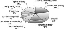 Functional-classification-of-the-TE-cassette-proteins-.jpg