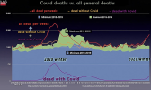 Sitzung 80 Minimal Deaths From Covid In Austria!!! de.mp4_snapshot_05.32.28.000.png