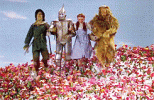 The Wizard of Oz (1).gif