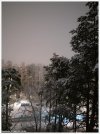 P2259881-2.jpg