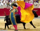 Matador-Vladimir-Putin--90060.jpg