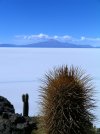 uyuni.jpg