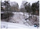 2022-04-04-06-32-43.jpg