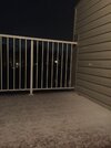 277320894_1113255732796836_7395384637847547155_n.jpeg