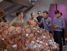 Star-Trek-The-Trouble-with-Tribbles-3.jpg