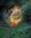 Magical Golden Hour, Shropshire, England.jpg