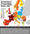 Percentage of Non-European (i.e Non-White) Births, 2020.jpg