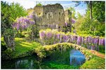 Garden-of-Ninfa-wisteria-GettyImages-484670258.jpg