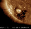 Aug-25-22-Sun-activity-coronal-hole.jpg