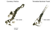 micron-sized carbonaceous structure in a Brownlee particle .jpg