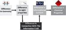 geometry biophotons with information field.jpg