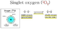 oxygen spin triplet singlet.jpg