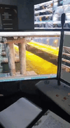 VID_20221008_164307_177_1.gif VID_20221008_164307_177_1.gif