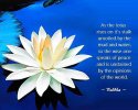 buddha-quotes-8.jpg