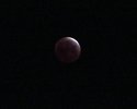 Total Moon Eclipse Apr 4 201.jpg