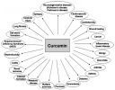 curcumin.png