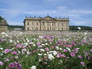 RHS_Chatsworth_Flower_Show_(42723891122).jpg