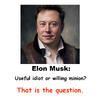 elonQuestion.png