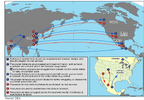 Screenshot 2022-12-14 at 17-39-27 DEA_GOV_DIR-008-20 Fentanyl Flow in the United States_0.pdf.png