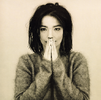 Bjork 90's.png