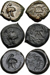 Campanian Mercenaries Coins- Tauromenion, Sicily- c. 354-344 BCE.jpg