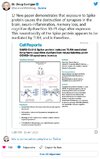 exposure to Spike protein causes the destruction of synapses