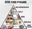 2030 FOOD PYRAMID